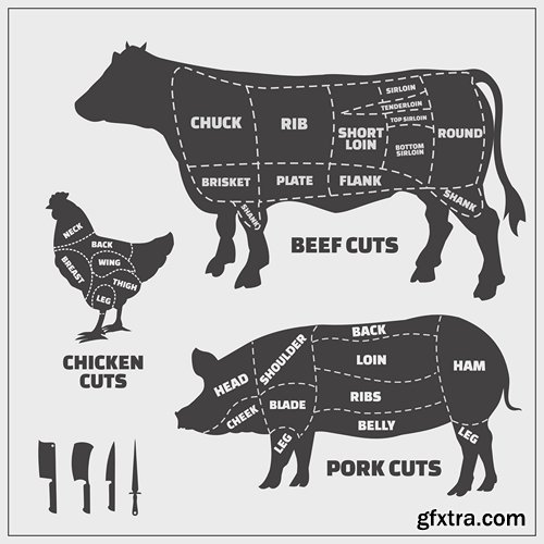 Collection of vector image sirloin meat cattle meat cutting meat cutting scheme 25 EPS