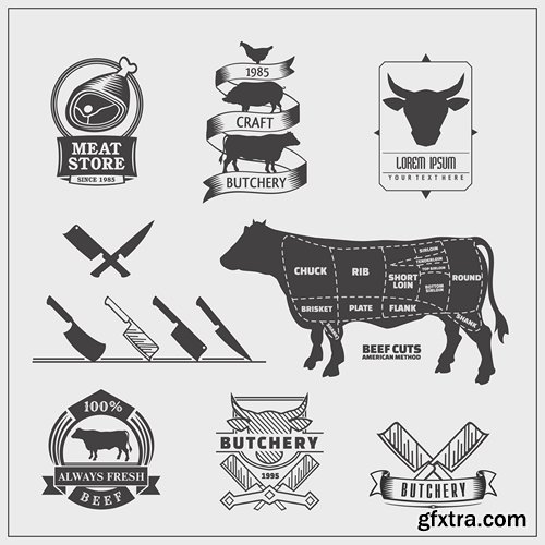 Collection of vector image sirloin meat cattle meat cutting meat cutting scheme 25 EPS