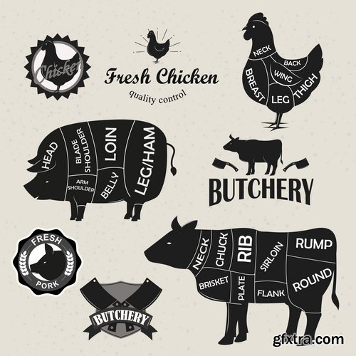 Collection of vector image sirloin meat cattle meat cutting meat cutting scheme 25 EPS