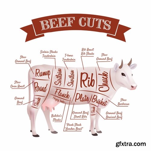 Collection of vector image sirloin meat cattle meat cutting meat cutting scheme 25 EPS