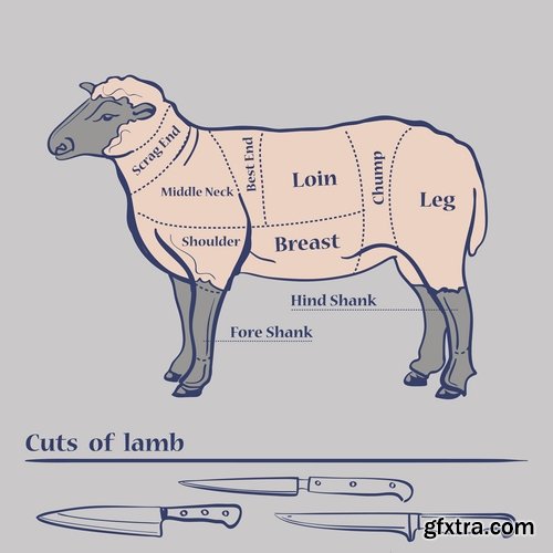 Collection of vector image sirloin meat cattle meat cutting meat cutting scheme 25 EPS