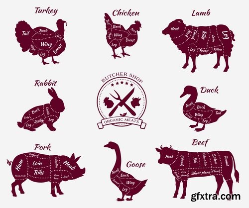 Collection of vector image sirloin meat cattle meat cutting meat cutting scheme 25 EPS