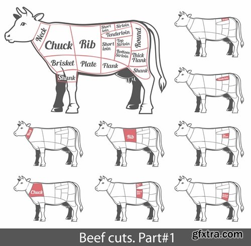 Collection of vector image sirloin meat cattle meat cutting meat cutting scheme 25 EPS