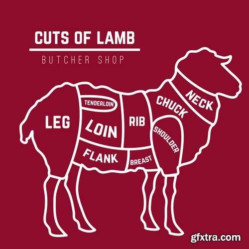 Collection of vector image sirloin meat cattle meat cutting meat cutting scheme 25 EPS