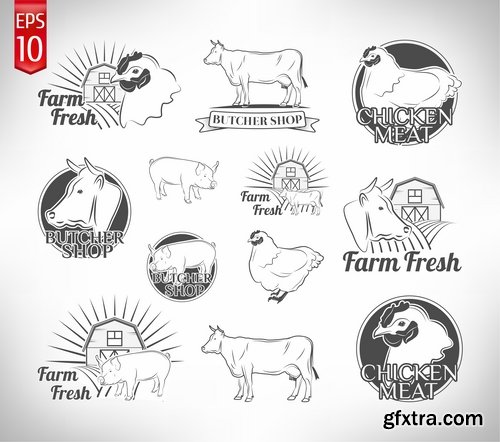 Collection of vector image sirloin meat cattle meat cutting meat cutting scheme 25 EPS