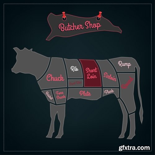 Collection of vector image sirloin meat cattle meat cutting meat cutting scheme 25 EPS