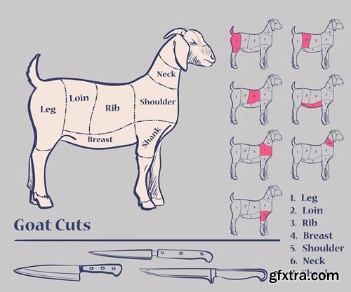 Collection of vector image sirloin meat cattle meat cutting meat cutting scheme 25 EPS