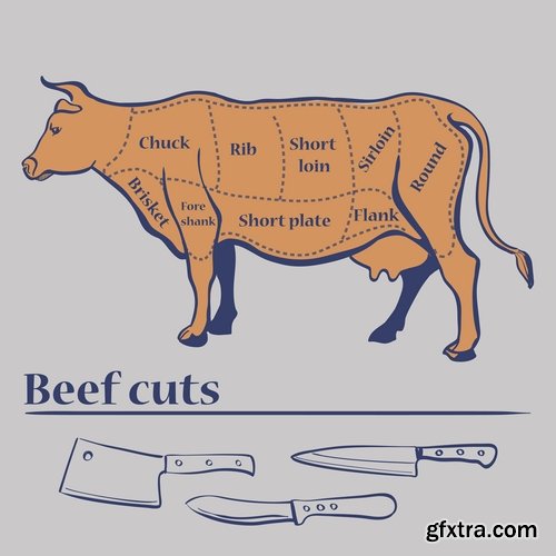 Collection of vector image sirloin meat cattle meat cutting meat cutting scheme 25 EPS