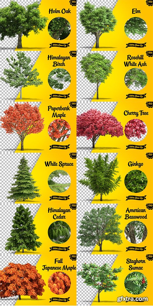 CreativeMarket Fully Isolated Trees Bundle - 60 pcs 429739