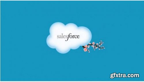 Learn Salesforce in easy steps and get certified!