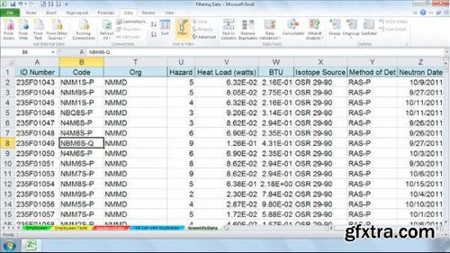 Managing and Analyzing Data in Excel 2010