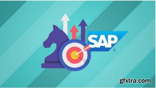 SAP ERP Roadmap: Business, Capabilities, and User Guide