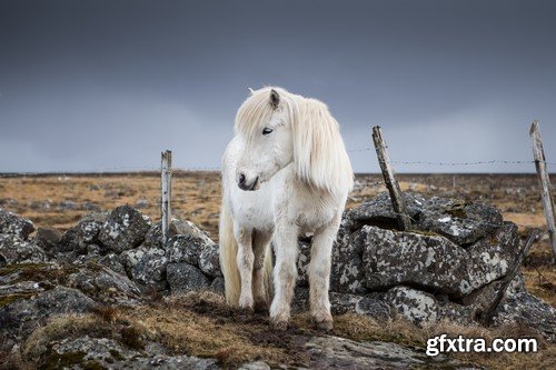 Iceland Nature - 10x JPEG