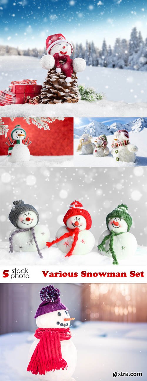Photos - Various Snowman Set