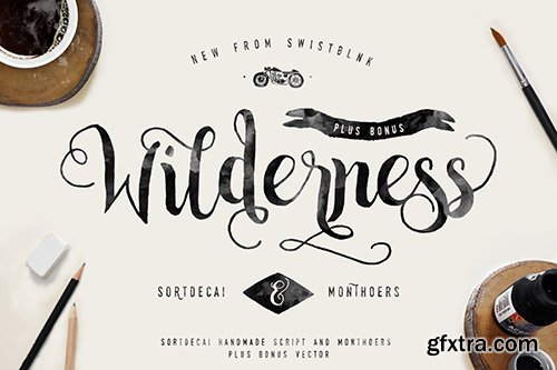 The Fabulous Fonts Bundle with 11 Fonts & Bonus