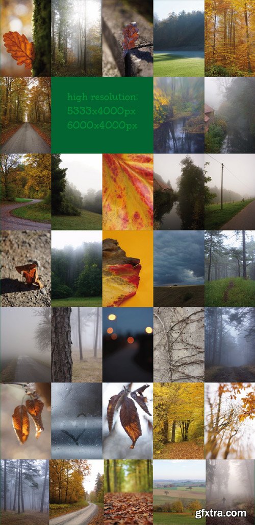 CM - SALE: Frost&Fog Photo Bundle 421525