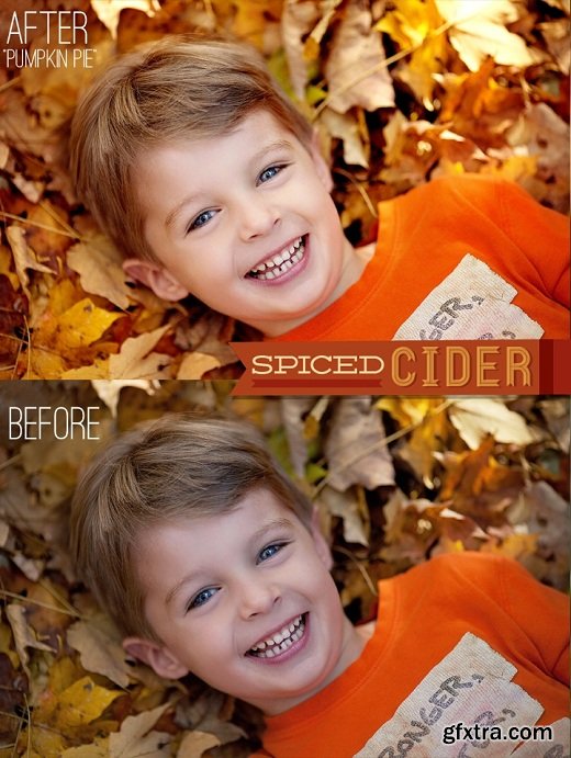 Spiced Cider Lightroom Presets