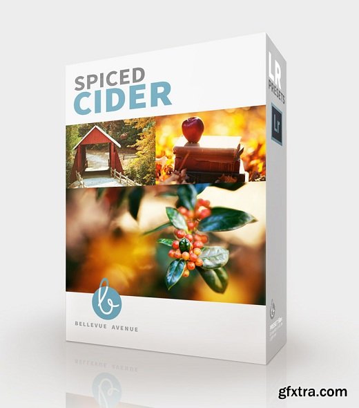 Spiced Cider Lightroom Presets