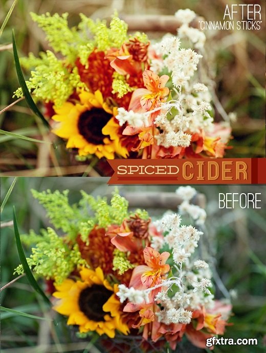 Spiced Cider Lightroom Presets