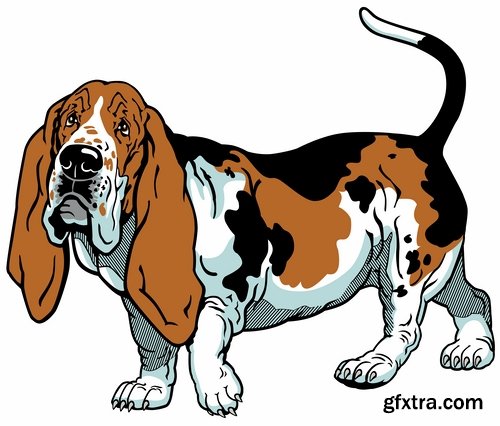 Collection of vector image breed of hunting dog 25 EPS