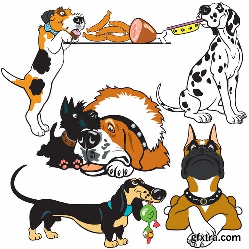 Collection of vector image breed of hunting dog 25 EPS