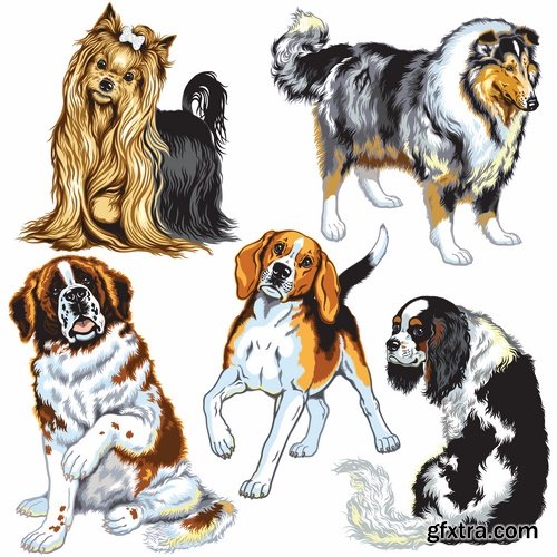 Collection of vector image breed of hunting dog 25 EPS