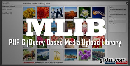 CodeCanyon - mLIB v1.1 - PHP & jQuery based media upload library - 11349121