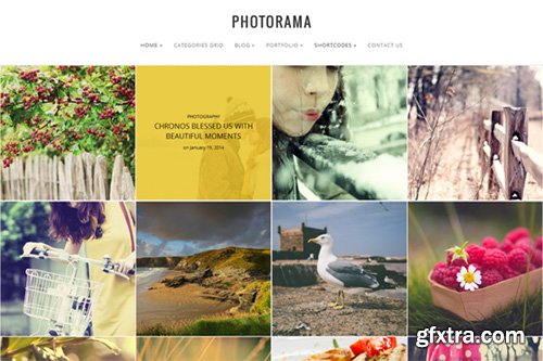 Photorama v0.3 - Photography WP Theme - CM 26559