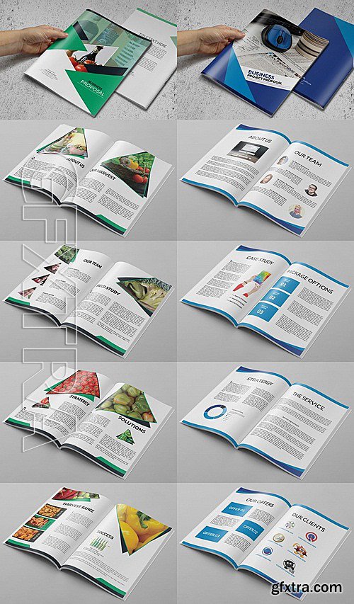 CM - Brochure or Business Proposal Bundle 318280