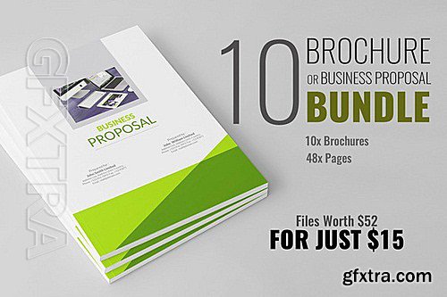 CM - Brochure or Business Proposal Bundle 318280