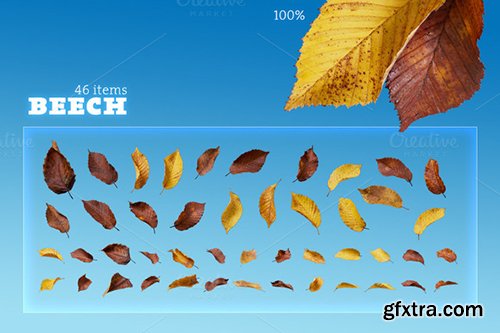 Creativemarket Mega Autumn Leaves Pack 450876