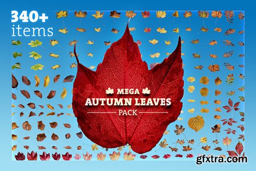 Creativemarket Mega Autumn Leaves Pack 450876