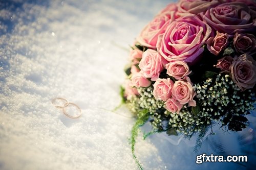 Collection of frozen flower plant flower in the snow nature 25 HQ Jpeg