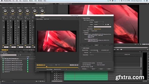 FanDev CuteDCP Pr v1.5.4 for Adobe Premiere Pro