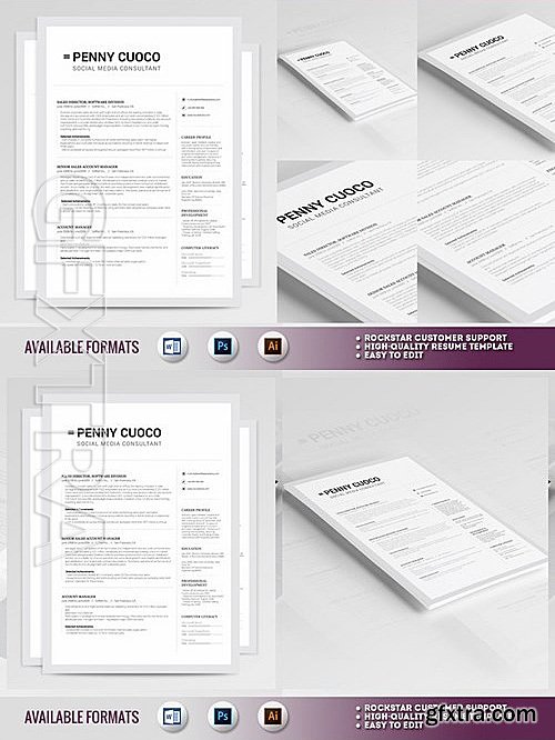 CM - Resume Template Volantis Keyser 463231