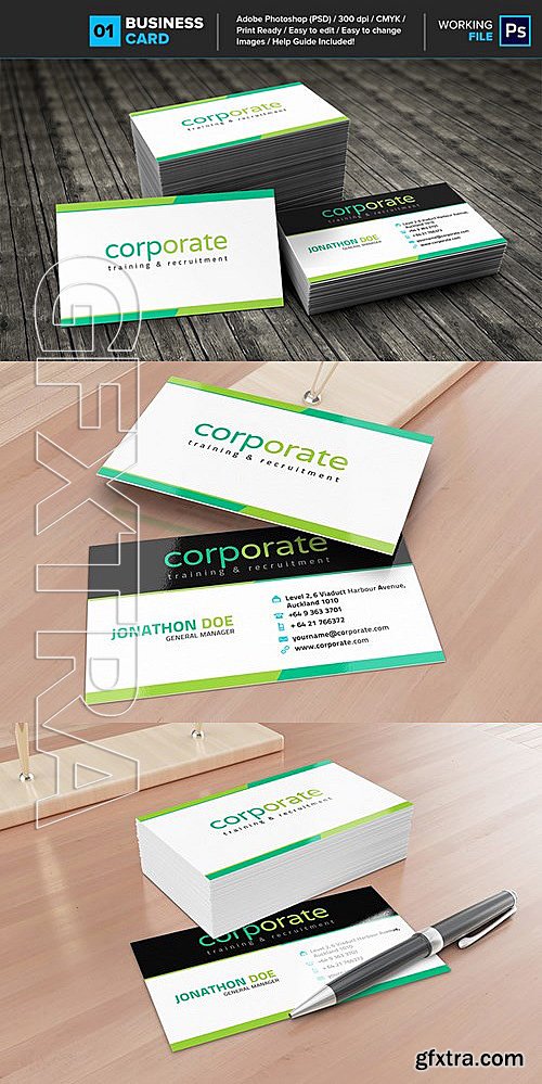 CM - Professional Business Card 01 463110