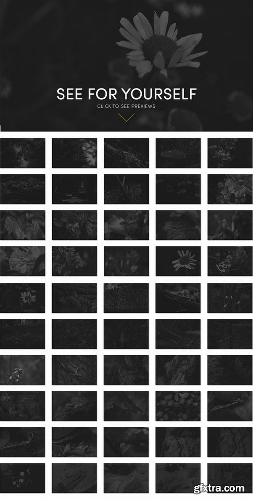 CM - 100 Dark Black & White Backgrounds 440545