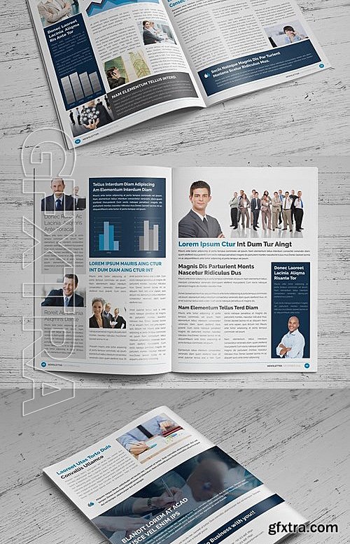 CM - Newsletter Indesign Template 464762