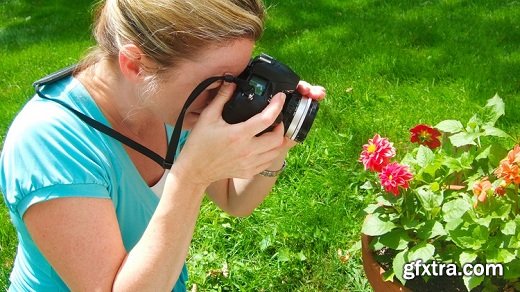 1 Hour Beginner Photography Workshop