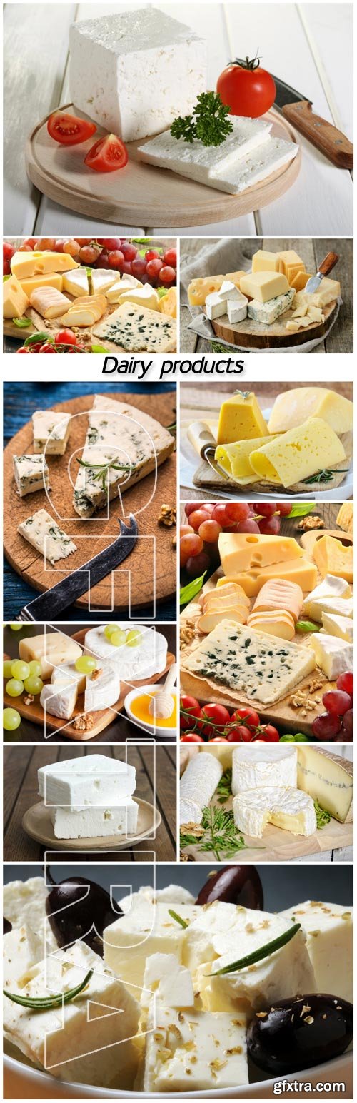 Dairy products, cheese