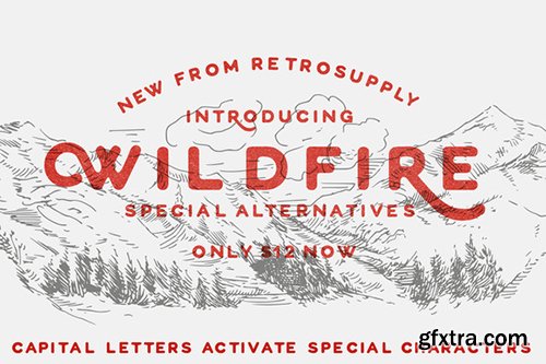 Creativemarket RetroSupply Font Pack 465423