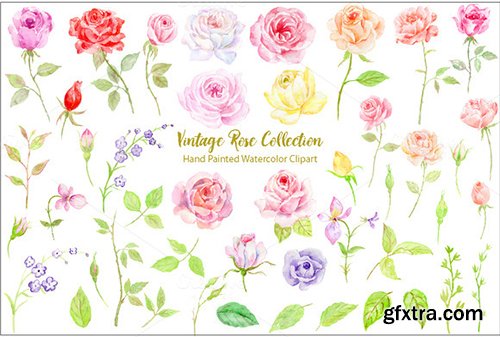 Creativemarket Watercolor Vintage Rose Bundle 465531