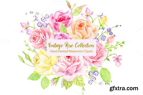 Creativemarket Watercolor Vintage Rose Bundle 465531