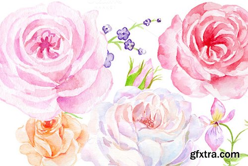 Creativemarket Watercolor Vintage Rose Bundle 465531