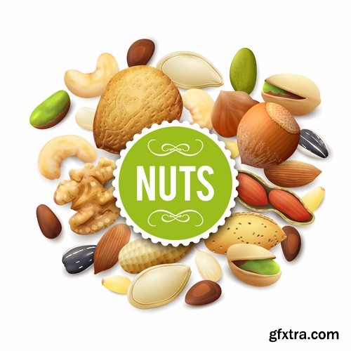 Collection of vector picture different nuts 25 EPS