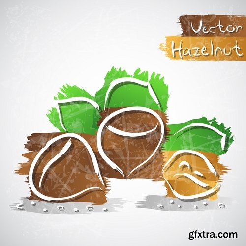 Collection of vector picture different nuts 25 EPS