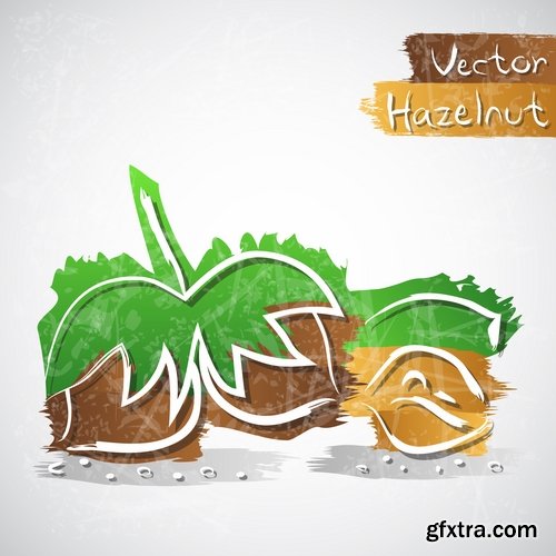 Collection of vector picture different nuts 25 EPS