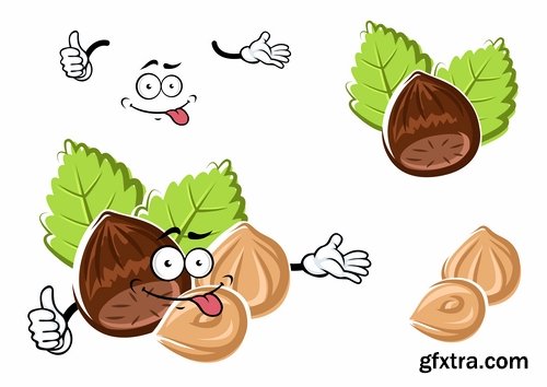 Collection of vector picture different nuts 25 EPS