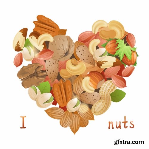 Collection of vector picture different nuts 25 EPS