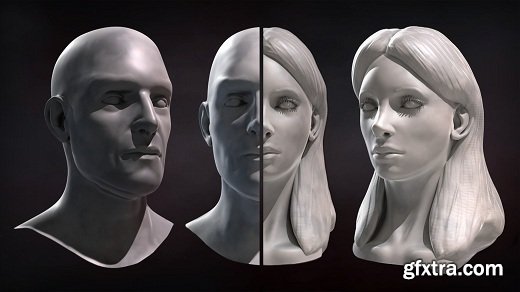 Sculpting Male and Female Faces in ZBrush